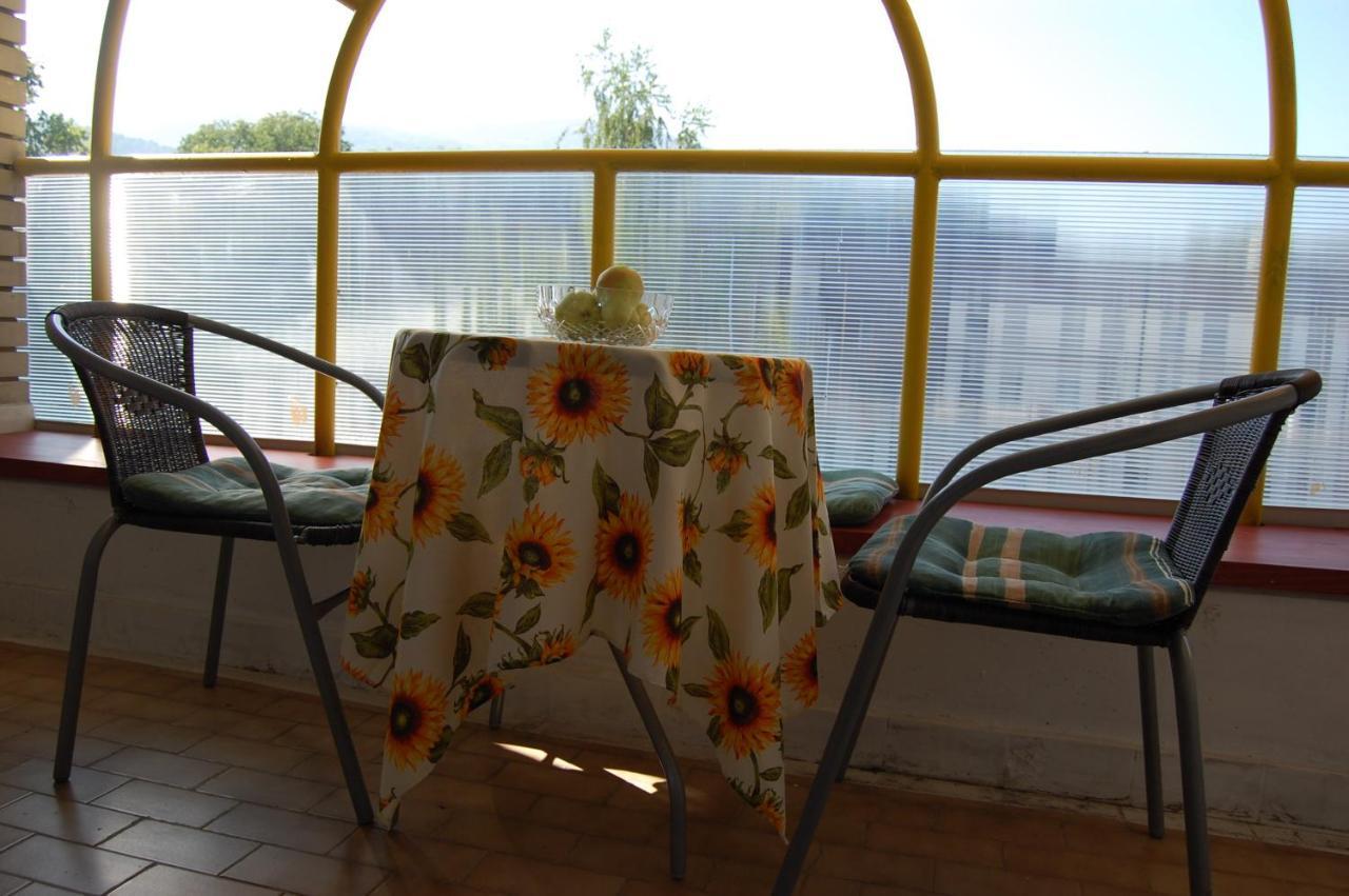 Vila Zora Apartman Banja Koviljača Zewnętrze zdjęcie